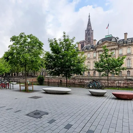 Le Ronny Cathedrale Strasbourg